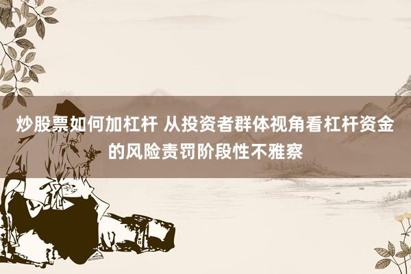 炒股票如何加杠杆 从投资者群体视角看杠杆资金的风险责罚阶段性不雅察