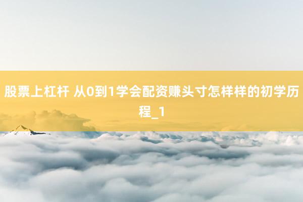 股票上杠杆 从0到1学会配资赚头寸怎样样的初学历程_1